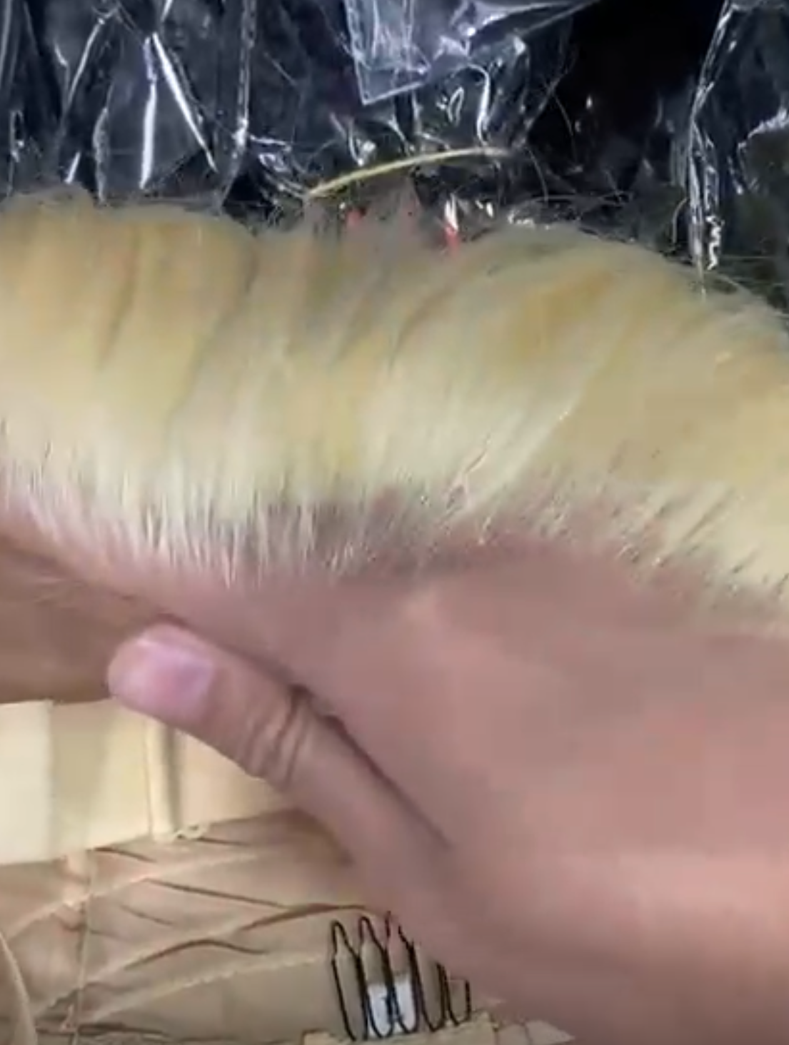 613 Straight Full 13x6 Unit